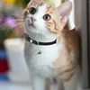 Obroże dla psów DIY Cat Kołnierz z wisiorkiem dla małych samców kotów anty zgubionych dekoracyjnych szyi