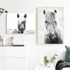 Dipinti Testa di cavallo in bianco e nero Poster Art Pittura Animali Cavalli Fotografia Stampe su tela Immagine della parete della casa della stanza Decorazione moderna