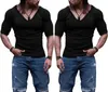 Polos pour hommes 2024 Été Slim Big Col V Couleur unie Manches courtes Sports Fitness Respirant Sweat Waffle T-shirt