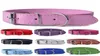 Dog Collars Leashes 10pcslot Mixed Colors Pu Leather Cat Adjustable Pet Puppy Neck Strap For Small Dogs Big Collar Size XS5429633