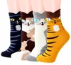 Otoño e Invierno nuevos calcetines de algodón lindos del gato calcetines casuales para adultos calcetines grandes femeninos 6661219