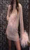 Casual Drs 2022 Sheer Mesh Feather Trim Manschett Sexig Sparkle Shinny Nightclub Fashion Kort klänning O Neck Lång ärm Cover Up Beach1077209