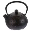 Dinnerware Sets Decor Metal Teapot Tetsubin Cast Iron Desktop Tearoom Supplies Kettle Office With Infuser