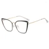 Solglasögon Metal Cat Eye Eyeglasses Frame 2024 Women Anti Blue Light Glasses Optical Spectacle