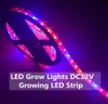 LED Plant Grown Lights 5050 LED Strip DC12V Red Blue 31 41 51 for Greenhouse Hydroponic Plant Growing IP65 IP65 Growth Light2195927