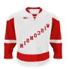 Wisconsin Badgers College Hockey Jerseys Custom Dylan Holloway Cole Caufield Brock Ty Pelton-BYCE TY EMBERSON Brian Elliott Ryan McDonagh 38