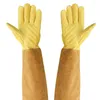 Gants jetables respirants de protection à manches longues, 1 paire de manches d'élagage pour le jardinage et l'apiculture