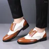 Chaussures habillées Hommes Cuir Brogue Sculpté Grande Taille Pour Hommes Couleur Correspondant Qualité Business Drive