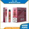 2% 5% NIC Disposable Vape 4000 4k Puffs Big Capacity 15 Flavors Electronic Cigarette Fast Delivery Germany Warehouse Rechargeable Battery