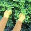 Gants jetables respirants de protection à manches longues, 1 paire de manches d'élagage pour le jardinage et l'apiculture