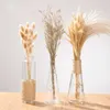 2 pièces Vases plantes hydroponiques Vases à fleurs sèches Pot de fleur ornements fournitures décoration de Table créative Vases en verre Transparent