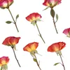 Fleurs décoratives 7-9 cm/12 pièces pressées néon bulle Rose Mini Branches fleur sèche bricolage signet Po cadre plante spécimen goutte colle lampe de table