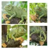 Resin Chameleon Statue Wall Mounted Lizard DIY Outdoor Garden Tree Decoration Sculpture For Home Office Garden Decor Ornament 240119