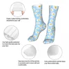 Men's Socks Daisy Flower Blue Woman 2024 Female Sports Sock