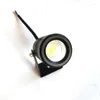 Garden Light Outdoor Spot Spike Lawn Lamp Prikspot Tuinspot Landscape