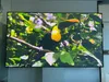 High Gain Fixed Frame Screen 100Inch Pet Crystal UST 16: 9 CLR Screen Projector ALR Ambient Projection BSP Projection Screen