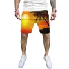 Shorts pour hommes Pantalons de plage d'été Garçons 3D Impression numérique Fleur Sports SS Territoire Ahead Mens Gilet Polyester Hommes Will