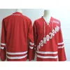 Wisconsin Badgers College Hockey Jerseys aangepaste Dylan Holloway Cole Caufield Brock Ty Pelton-Byce Ty Emberson Brian Elliott Ryan Mcdonagh 48