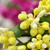 Falso floral vegetação simulação pequeno buquê de frutas noiva casamento diy turismo linda estrela flores guirlanda artesanal material decorativo grãos yq240125
