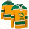 Maillots de hockey California Golden Seals Classic 60S Sweat à capuche 9 Ivan Boldirev 8 Walt Mckechnie 27 Gilles Meloche 22 Joey Johnston 10 Ted Hampson 14