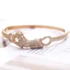 Nowy zaprojektowany luksusowa bransoletka gepardowa Kobiety mężczyźni grubia łańcuch punk bransoletka różowa złoto pełne diamenty naszyjnik projektant biżuterii Lie-6021005