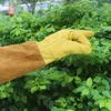 Gants jetables respirants de protection à manches longues, 1 paire de manches d'élagage pour le jardinage et l'apiculture