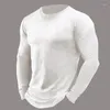 Camisetas para hombres 2024 Primavera Camiseta europea americana Cuello redondo Casual Color sólido Manga larga Jersey S-3XL Top