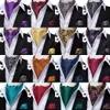 Vert solide soie Ascot cravate cravate Scrunch auto style britannique Gentleman robe foulards cravates fête de mariage Hanky ensemble HiTie 240122