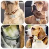 Köpek yakaları 6 PCS Pet Etiket Etiketleri Telefon Numarası Kimlik Asma Süsleme Köpekler Çelik Sarkık Paslanmaz Köpek