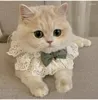 Hundkläder pärla krage juvelerade siden bröllop bågar halsband satin kattunge tillbehör bowtie present katt valp band halsduk