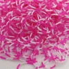 Dog Apparel 600pcs Pet Grooming Rubber Band Headwear High Elasticity Cat Hair Accessories Teddy York