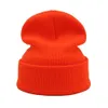 Czapki czapki/czaszki Śliczne cosplay kreskówka TV Parappa The Rapper Frog Knitted Hats Unisex 240125