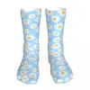 Men's Socks Daisy Flower Blue Woman 2024 Female Sports Sock