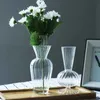 2 pezzi vasi stile nordico vaso di fiori in vetro trasparente ornamenti per bottiglie di fiori vaso idroponico creativo decorazioni per la tavola del soggiorno di casa