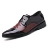 Kleid Schuhe Nummer 45 Größe 47 Jungen Loafers Sneakers Eleganter Mann Sport Vietnam Importeure Sneskers Super Marke Cool