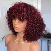 Brazilian Glueless Short Kinky Curly Wigs with Bangs 99J Red Burgundy Color 200 Density Afro Curly Bob Cut Full Lace Front Simulation Human Hair Wig