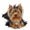 Abbigliamento per cani 10 pezzi Archi invernali Cucciolo di gatto Fiore Bowknot Elastici per cani Moda peli di animali domestici Decorare accessori per toelettatura