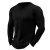 Camisetas para hombres 2024 Primavera Camiseta europea americana Cuello redondo Casual Color sólido Manga larga Jersey S-3XL Top