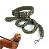 Kleding L/XL Supersterke grove nylon hondenriem Legergroen canvas Dubbele rij verstelbare halsband voor middelgrote grote honden Pitbull