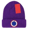 Cappello lavorato a maglia Maglieria Designer Tempo libero Classico Cappello invernale Cappelli lavorati a maglia Regalo di Natale 16 colori s