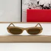 Lunettes de soleil en écaille de tortue Sl pour femmes, ovales étroites, tendance, haut de gamme, Style américain discret, monture en acétate de bonne qualité, nuances