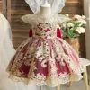 Девичьи платья вышивка элегантные детские платья принцессы для девочек без спины кружевное кружевное свадебное свадебное платье Детское церемония костюм D240425