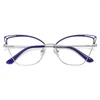 Sunglasses Frames DOISYER Fashion Luxury Eyeglasses Design Metal Frame Cat Eye Women Custom Eyewears Anti Blue Light Glasses