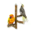 Toys Parrot Peppercorn Wood Stand Tree Vine Swing Grinding Claw Wood Bird Stand Bird Cage Accessories Perching Wood Pet Supplies