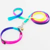 Leashes 10 sztuk/partia Rainbow kolorowe Pet smycz Pet dog cat liny szelki YY1101