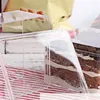 Take Out Containers 10 stks/set Transparante Plastic Koekjesdoos Ijs Fruit Sneeuwvlok Krokant Met Deksel Keuken Gereedschap