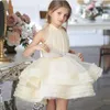 Girl Dresses Tulle Sleeveless Flower Wedding Bow Layered Puffy Party Ball Princess Beauty Pageant First Communion