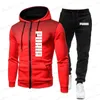 Men's Tracksuits Men's Sports Fitness Wear Thin Section Breathable Hoodie or Sports Pants Breathable T240126