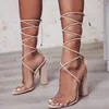 Sandaler Fashion Women Open Toe High Heels Shoes Woman Clear Transparenta Summer Party Shoes Ankel Strap Lace Big Size 34-43 J240126