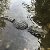 Multi Style Alligator Floating Decoy Water Solution for Outdoor Pool Ducks Alligator Decoy Garden Accessories Home Decor 240119